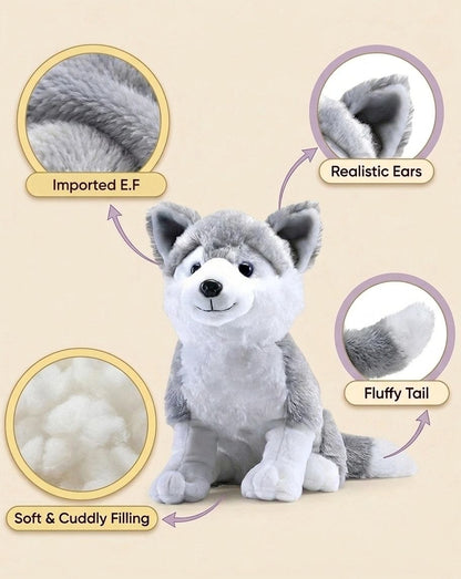 Premium Siberian Husky Stuffed Toy with Fluffy Tail & Realistic Ears | Soft Plush Toy (32 cm)